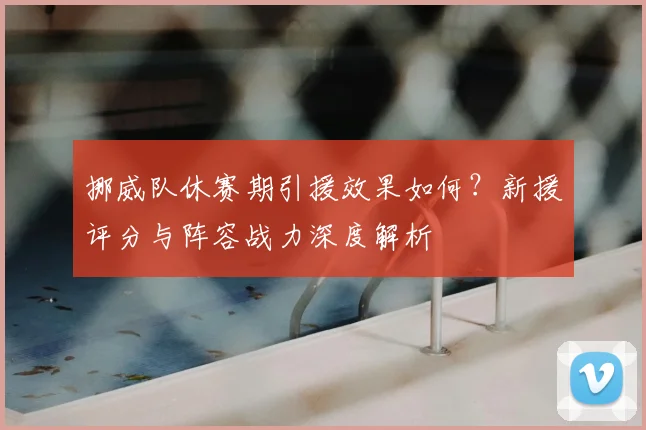 挪威队休赛期引援效果如何?新援评分与阵容战力深度解析