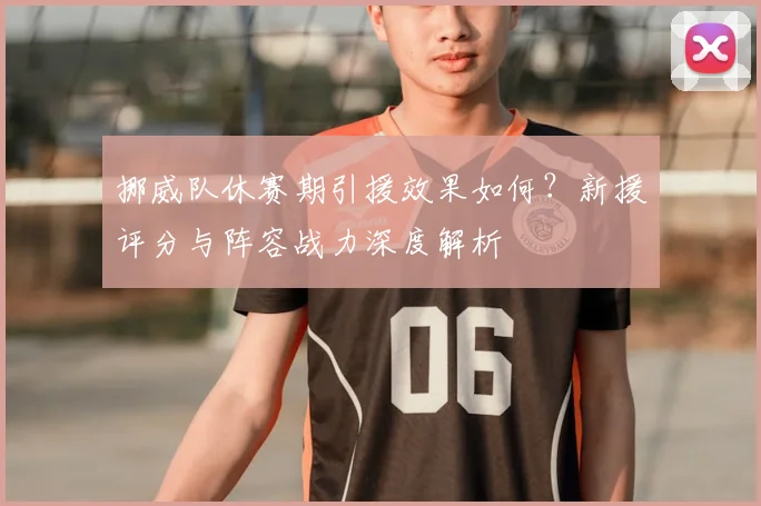挪威队休赛期引援效果如何？新援评分与阵容战力深度解析